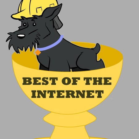 best of the internet