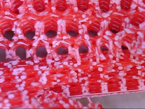 3D print under microscope 50x