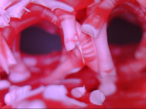 3D print under microscope 200x