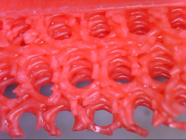 3D print under microscope boiled
